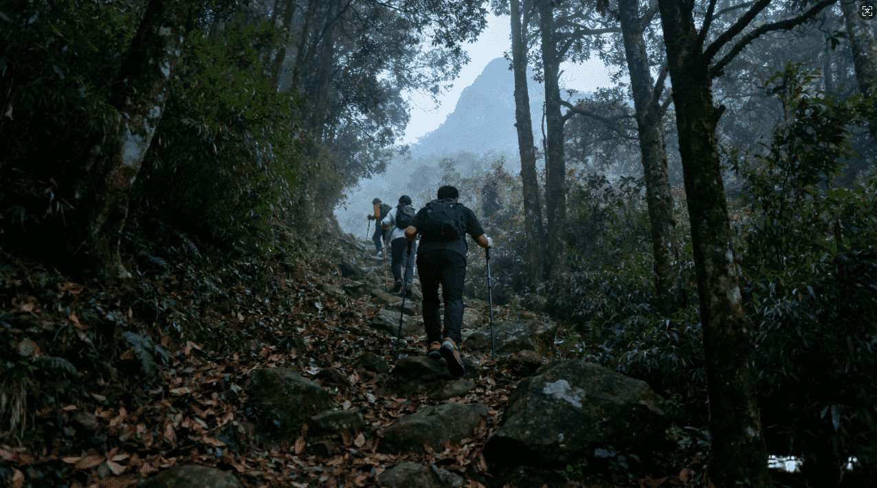 如何选择稳定高效的推特加速器推荐